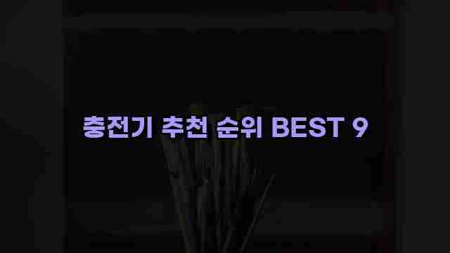 충전기 추천 순위 BEST 9