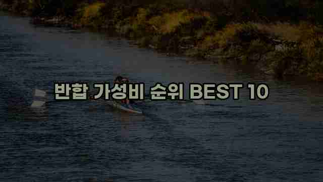 반합 가성비 순위 BEST 10