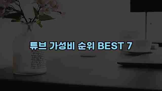 튜브 가성비 순위 BEST 7