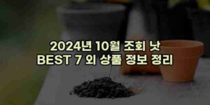 우니재의 알리알리 알리숑 - 56230 - 2024년 11월 24일 14