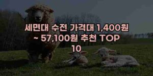 우니재의 알리알리 알리숑 - 49980 - 2024년 11월 23일 16