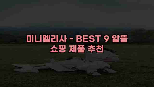 미니멜리사 - BEST 9 알뜰 쇼핑 제품 추천