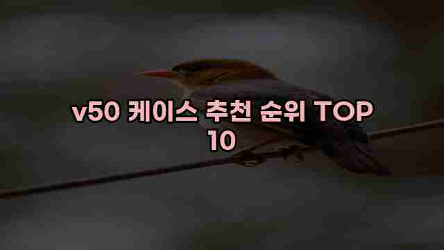 v50 케이스 추천 순위 TOP 10