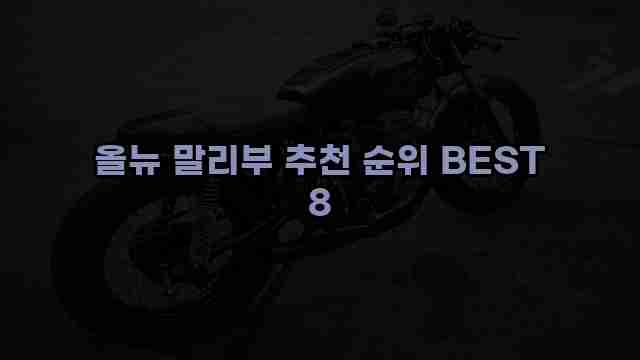 올뉴 말리부 추천 순위 BEST 8