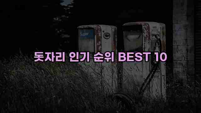 돗자리 인기 순위 BEST 10