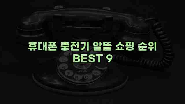 휴대폰 충전기 알뜰 쇼핑 순위 BEST 9