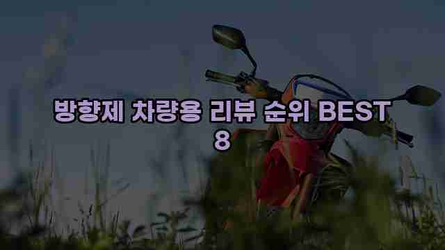 방향제 차량용 리뷰 순위 BEST 8