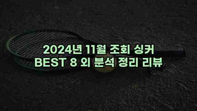 2024년 11월 조회 싱커 BEST 8 외 분석 정리 리뷰