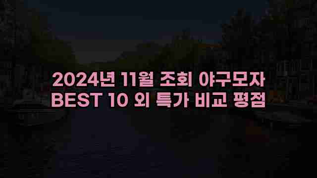 2024년 11월 조회 야구모자 BEST 10 외 특가 비교 평점