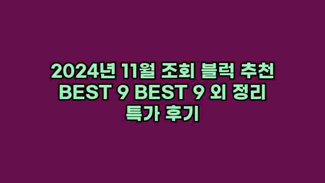 2024년 11월 조회 블럭 추천 BEST 9 BEST 9 외 정리 특가 후기