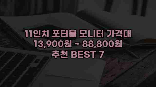 11인치 포터블 모니터 가격대 13,900원 ~ 88,800원 추천 BEST 7