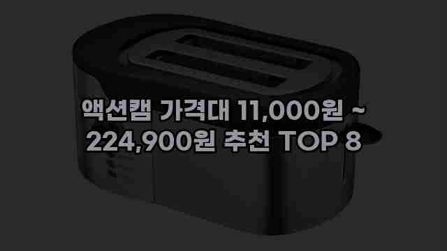 액션캠 가격대 11,000원 ~ 224,900원 추천 TOP 8