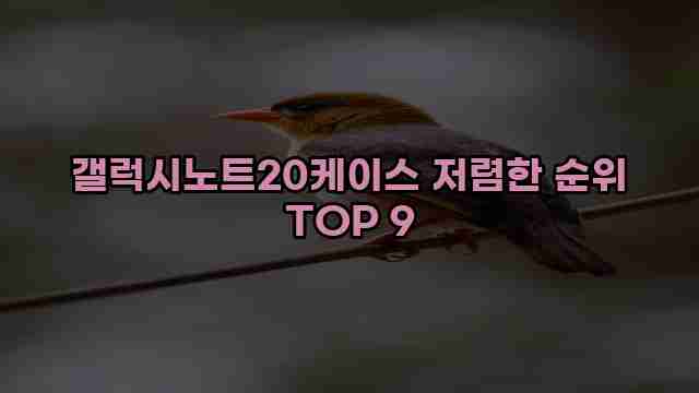 갤럭시노트20케이스 저렴한 순위 TOP 9