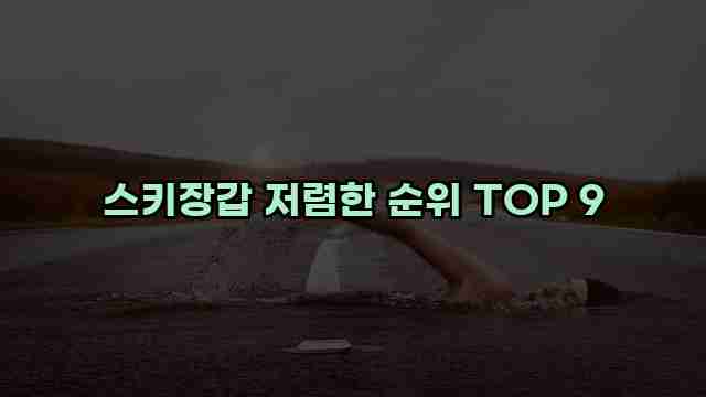 스키장갑 저렴한 순위 TOP 9