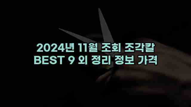 2024년 11월 조회 조각칼 BEST 9 외 정리 정보 가격