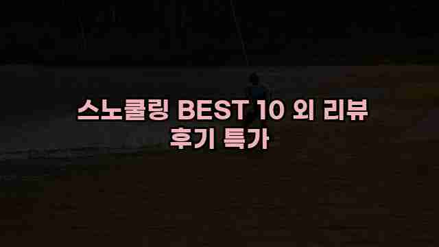  스노쿨링 BEST 10 외 리뷰 후기 특가