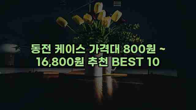 동전 케이스 가격대 800원 ~ 16,800원 추천 BEST 10