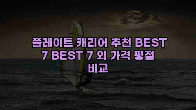  플레이트 캐리어 추천 BEST 7 BEST 7 외 가격 평점 비교