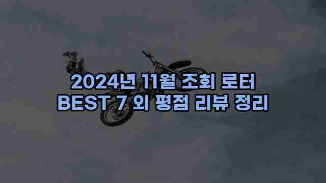 2024년 11월 조회 로터 BEST 7 외 평점 리뷰 정리