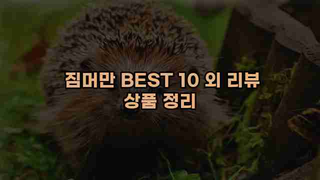  짐머만 BEST 10 외 리뷰 상품 정리